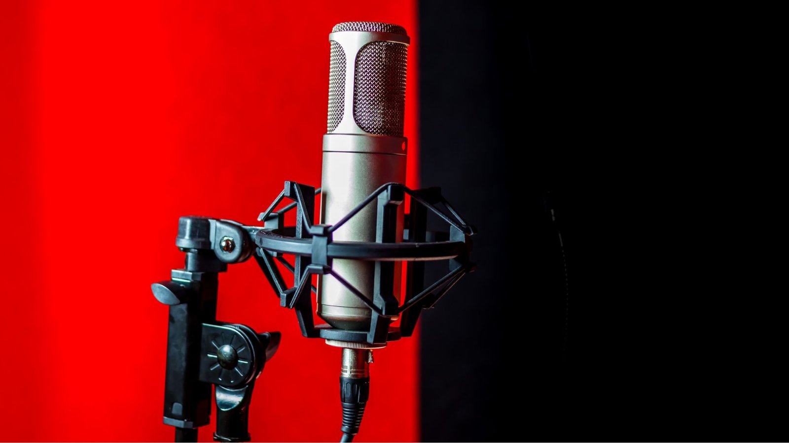 Global Podcasting Industry Report 2025–2033 | Audience Insights & Forecast